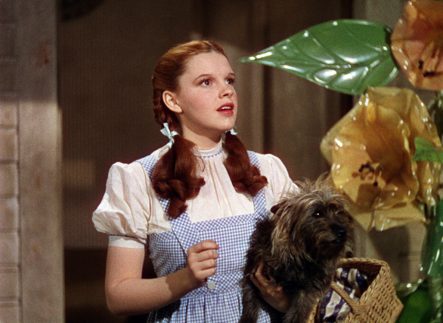 ic: The Wizard of Oz (1939), Everett Collection