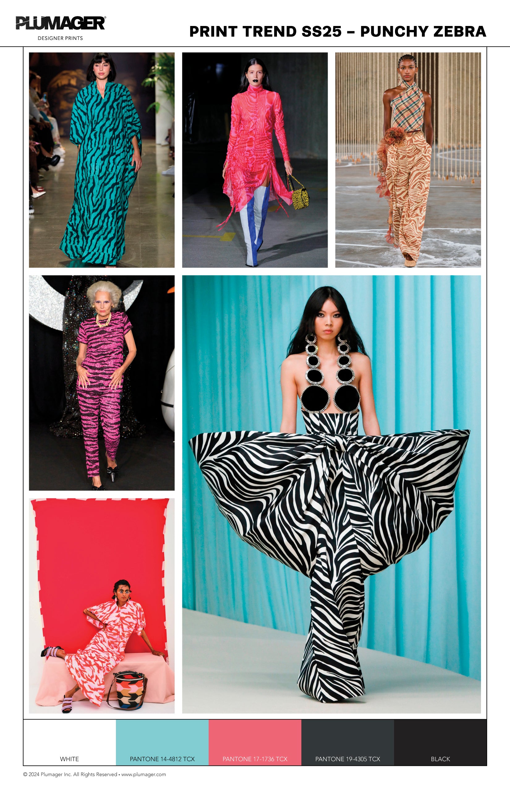 FW24 Print Textile Color Trend Report - Punchy Zebra