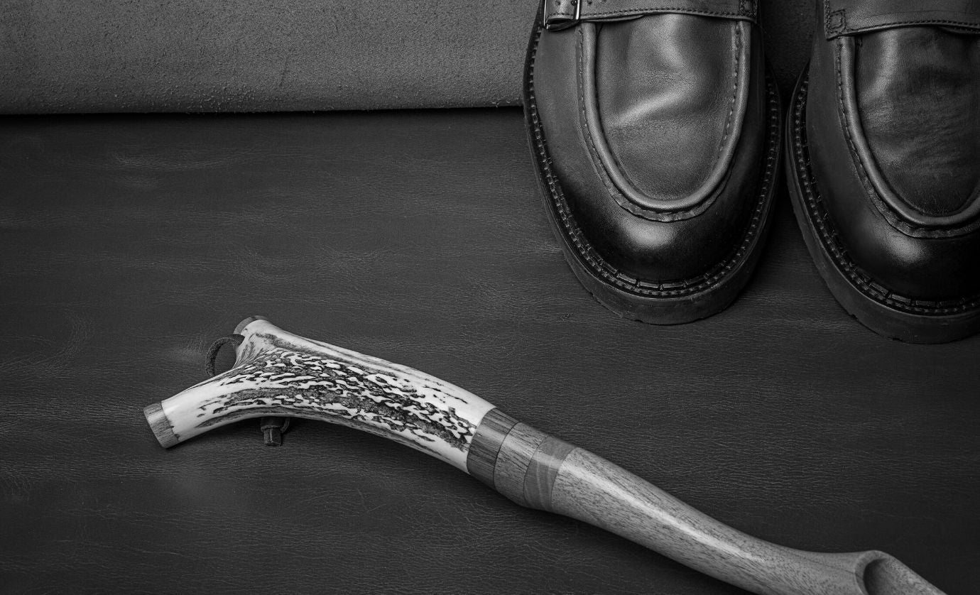 Luxury shoe horn