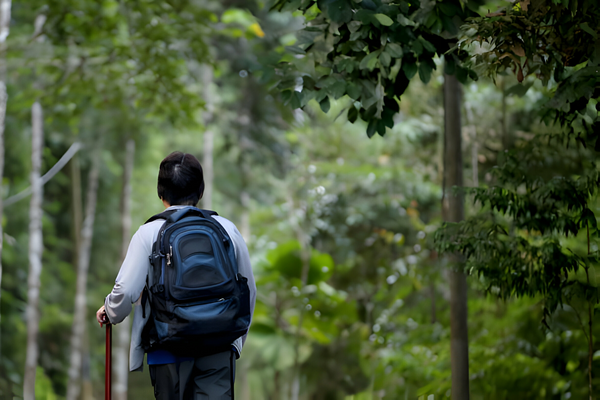 Traveling with ease: tips for using a walking cane on the go