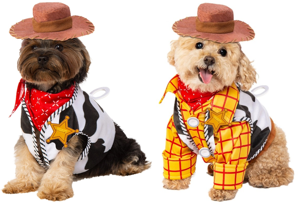 Licesed Paw Patrol Skye Dog Pet Costume