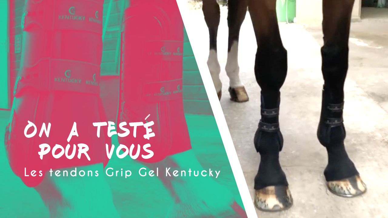 On a testé pour vous | Les Tendon Grip Chaussettes Gel Kentucky Horsewear