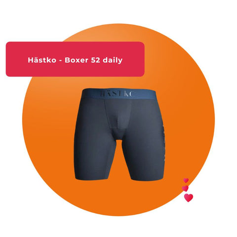 Hästko - Boxer 52 daily Prix de vente