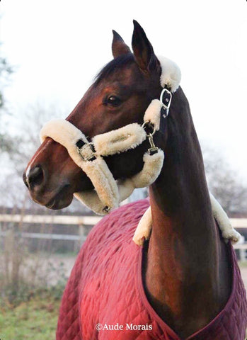 Kentucky Horsewear Stable Rug