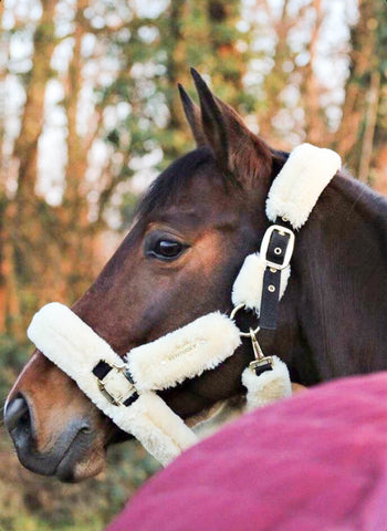 Kentucky Horsewear Stable Rug