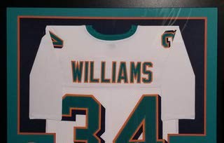 ricky williams dolphins jersey authentic