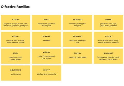 Olfactive families