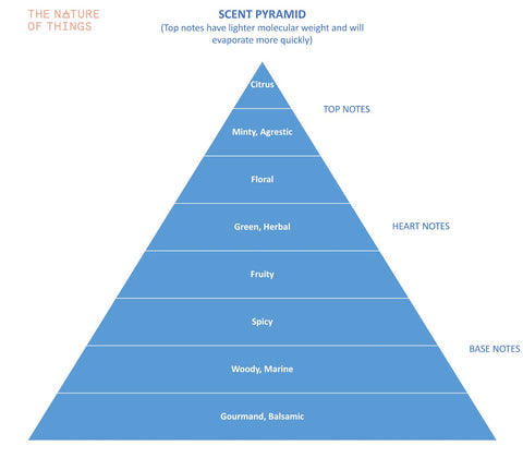 Scent Pyramid Graphic