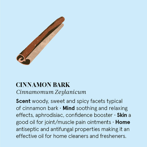 The Nature of Things - Cinnamon Bark Essential Oil - Benefits