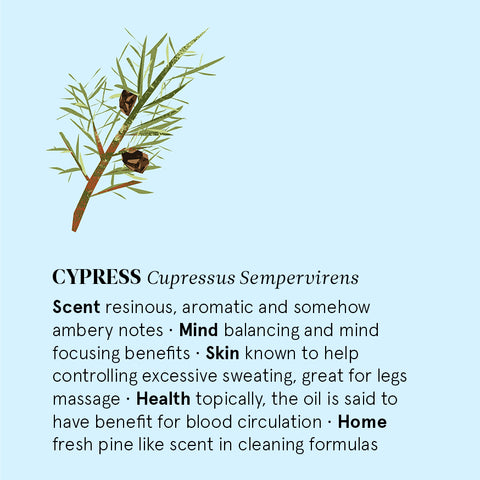 The Nature of Things - Cypress Essential Oil - Benefits