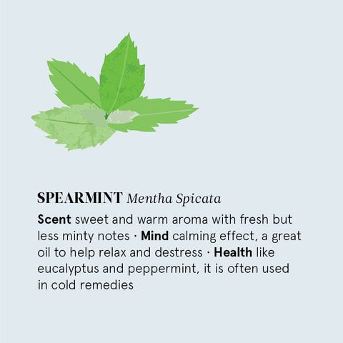 The Nature of Things - Spearmint Essential Oil - Benefits