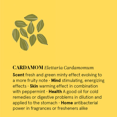 The Nature of Things - Cardamom Essential Oil - Benefits