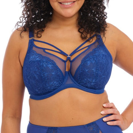 Elomi Carrie Fashion Color – Bra Fittings by Court
