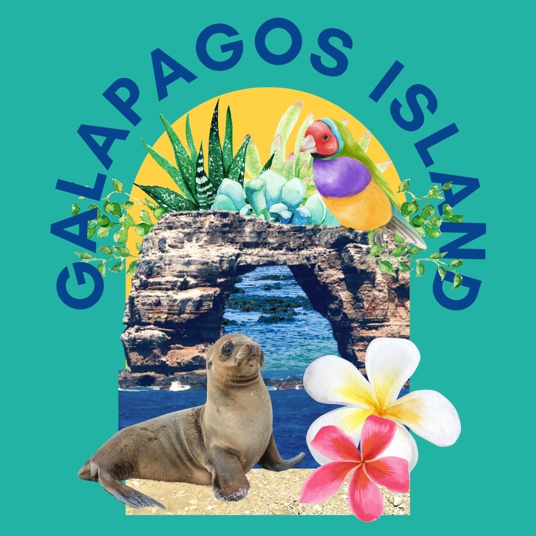 BuDhaGirl | Travel | Voyage | Galapagos Island