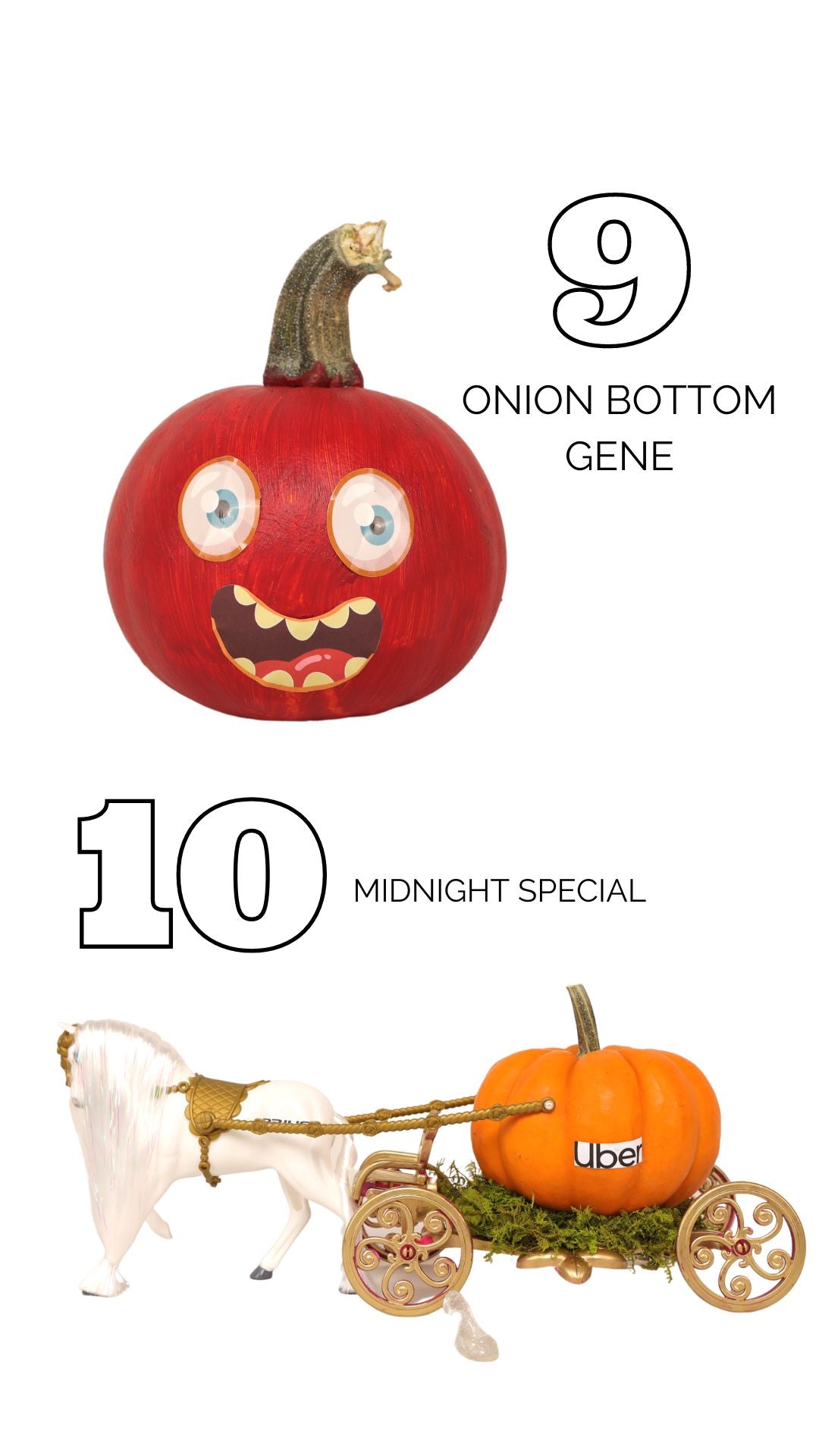 Onion Bottom Gene Pumpkin, Midnight Special Pumpkin| BuDhaBrief by BuDhaGirl 