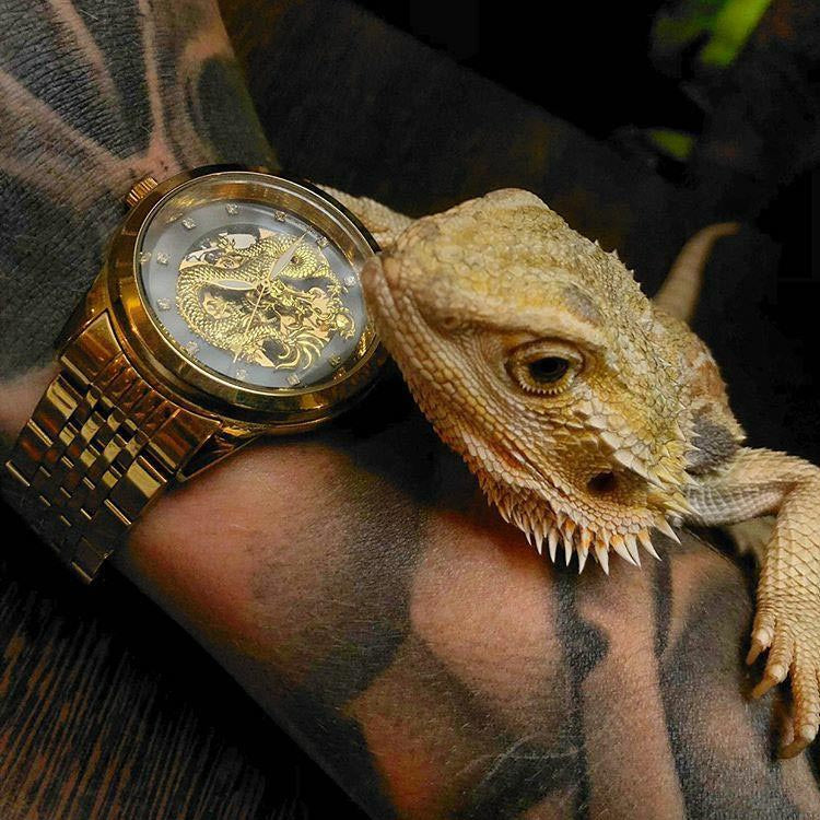 @meganxpotter photo of watch with lizard