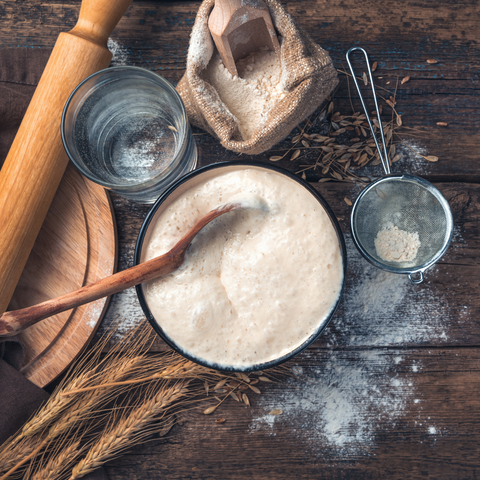 Sourdough Starter