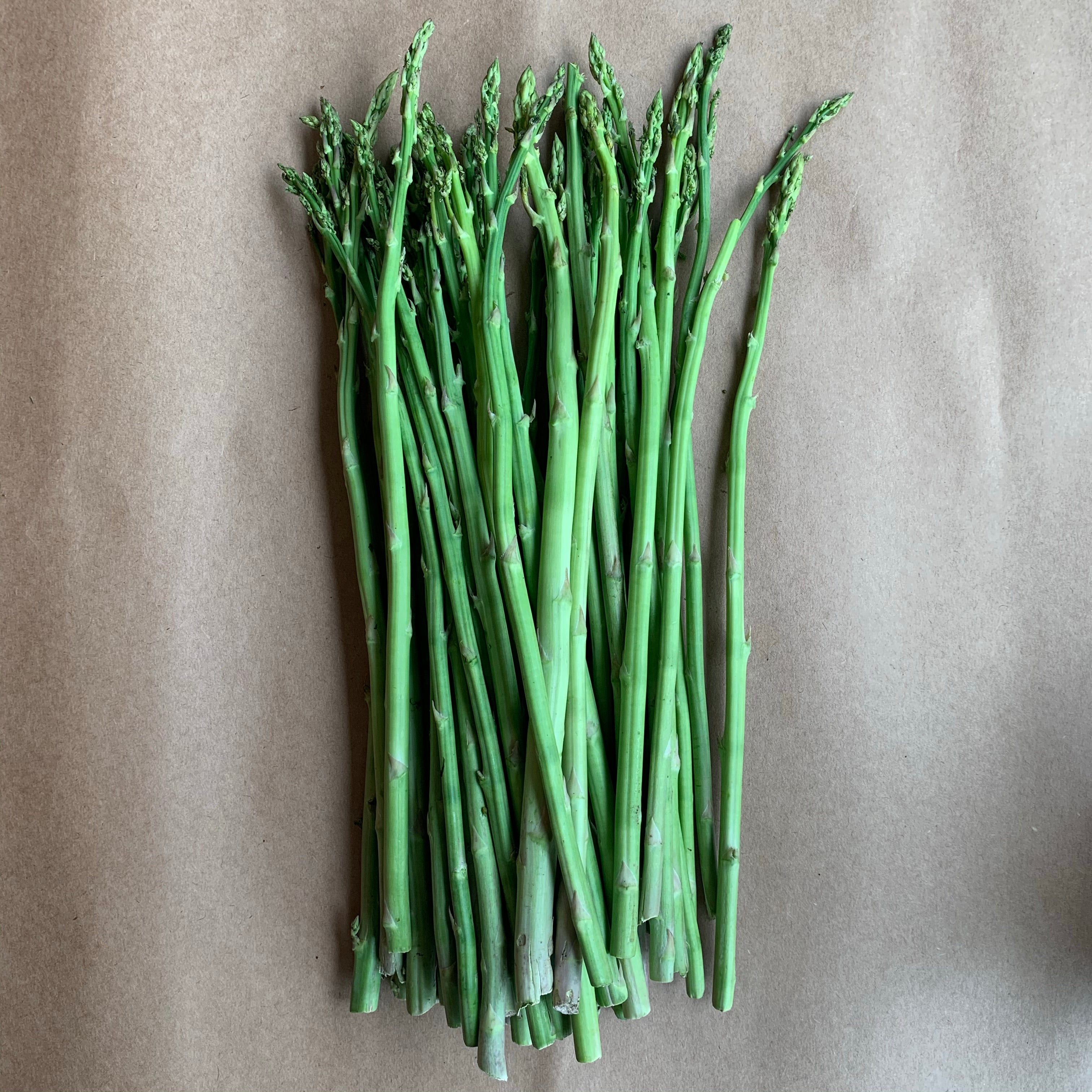 Organic Asparagus (Indian) – Freshindiaorganics