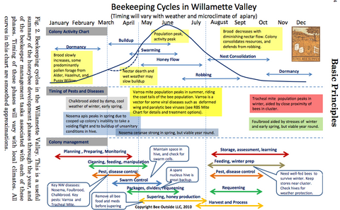 Honeybee Annual Management Cycle