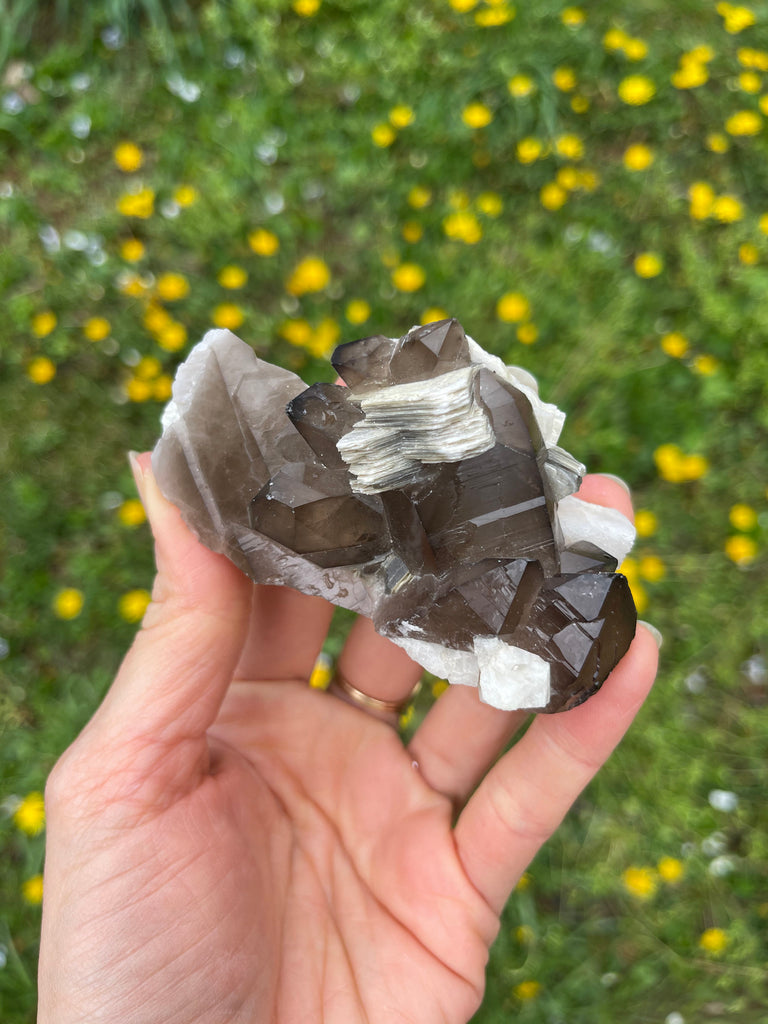 Smoky Quartz Polished Hearts (AA Grade - Per Piece) Ethically Sourced from  Madagascar — Beyond Bohemian