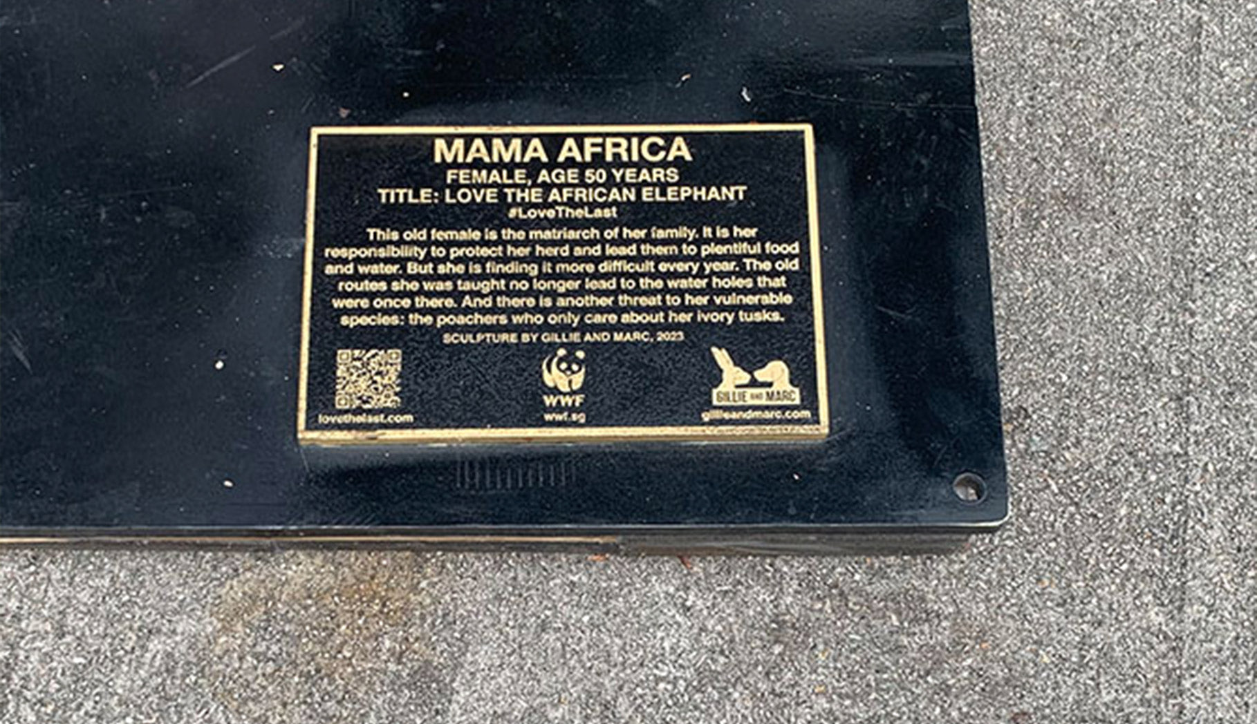 Bronze plaque with QR code to discover information on endangered species