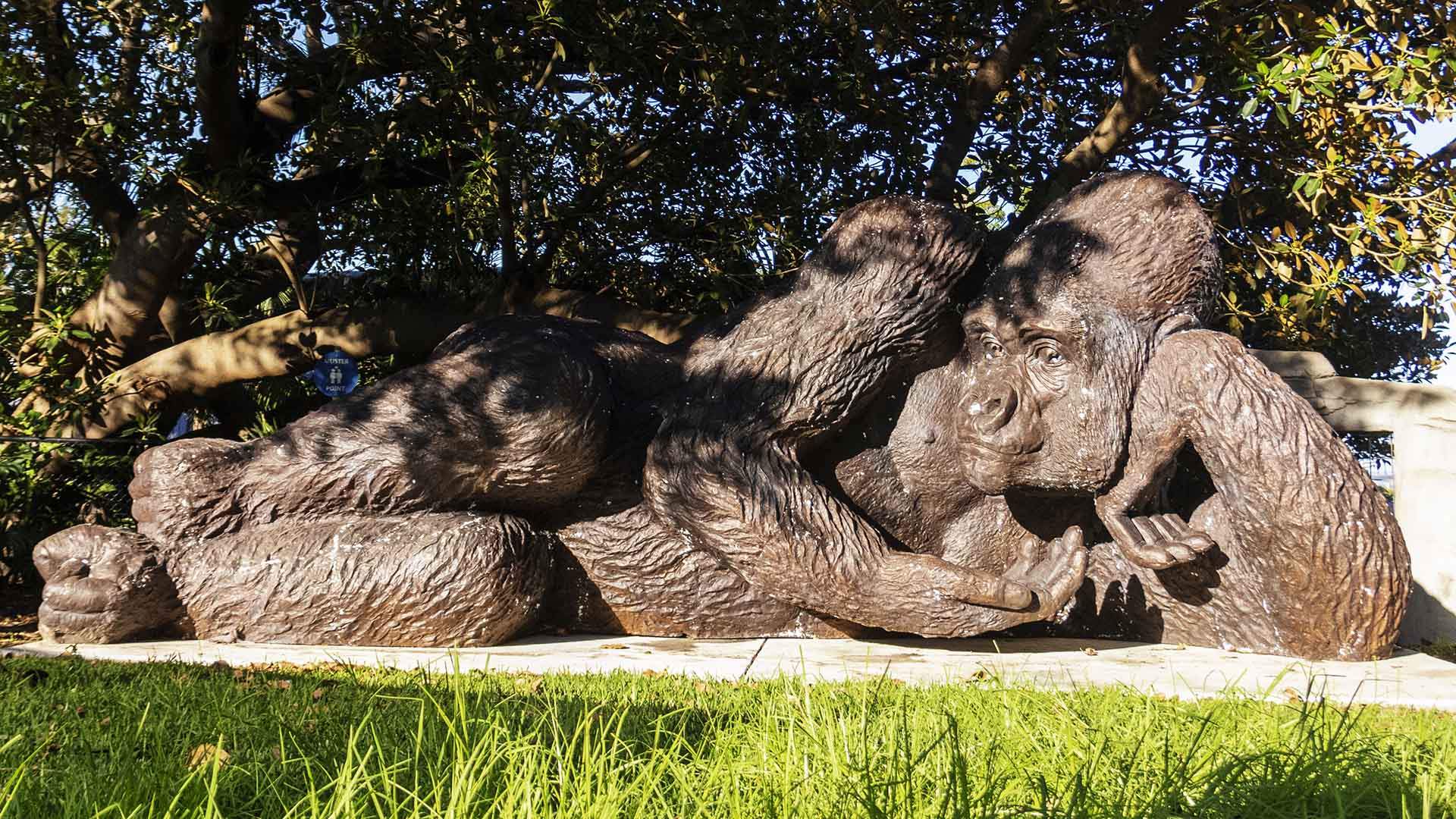 large bronze gorilla statue person sitting