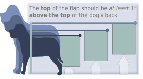 The top of the flap should be at least 1" above the top of the dog's back