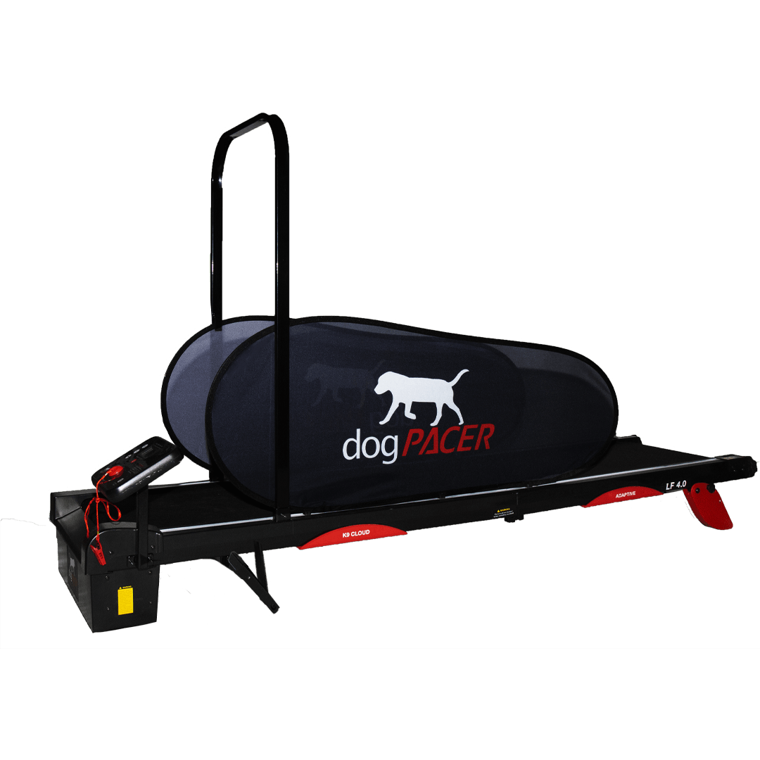 PetRun PR720F Dog Treadmill GoPet