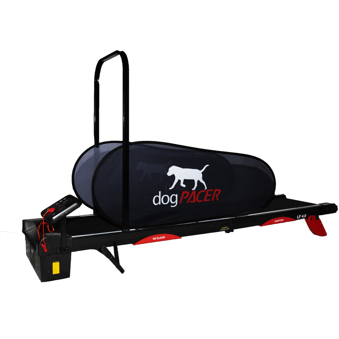 GoPet PR700 PetRun Dog Treadmill