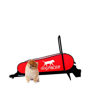 dogpacer mini