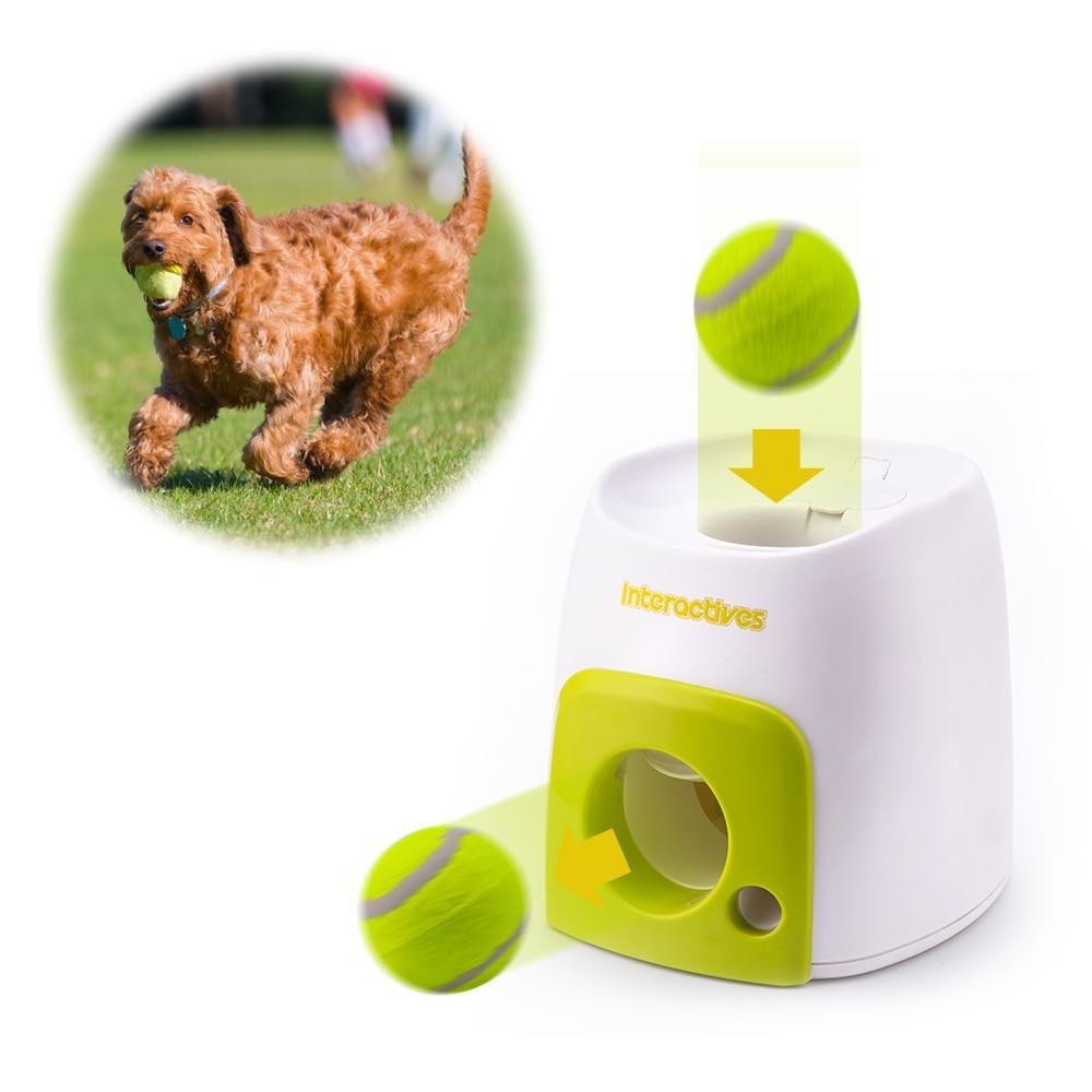 automatic dog toy thrower