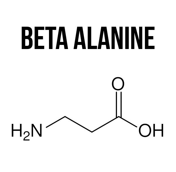 Beta Alanine