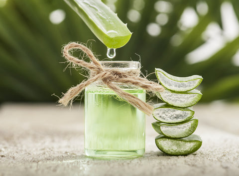 aloe-vera-anti-aging-ingredients | Virtail