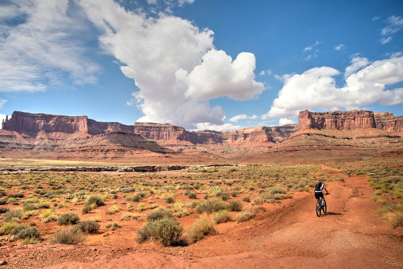 white rim gravel biking trail, utah