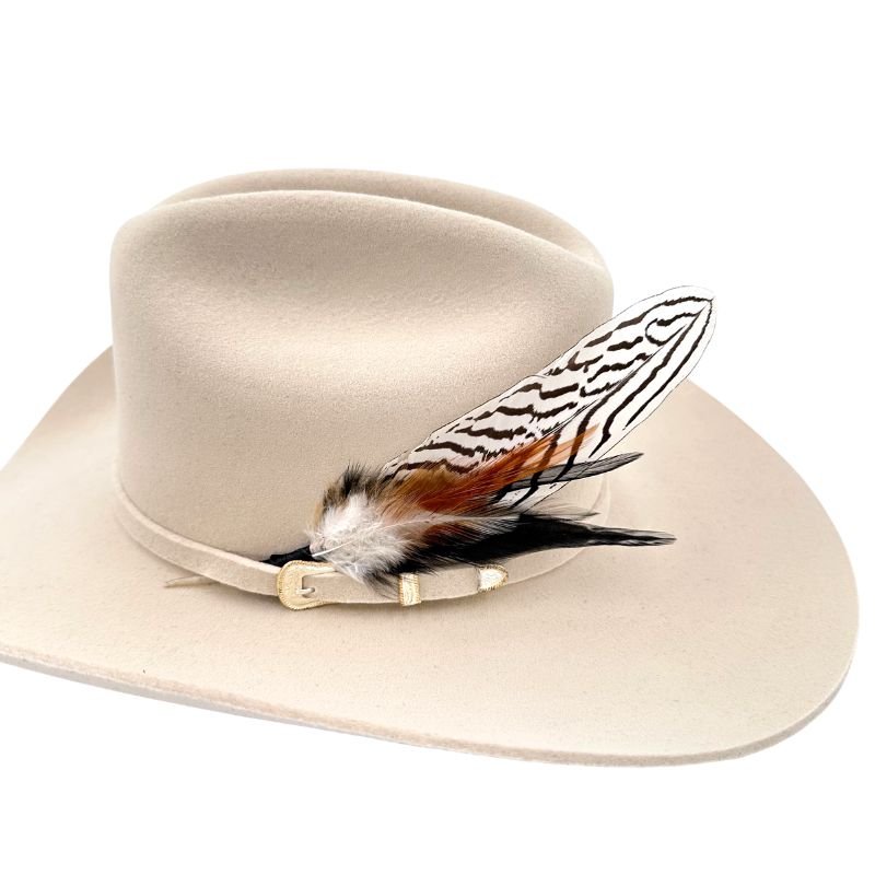 Feather Hat Accent Vagabond 