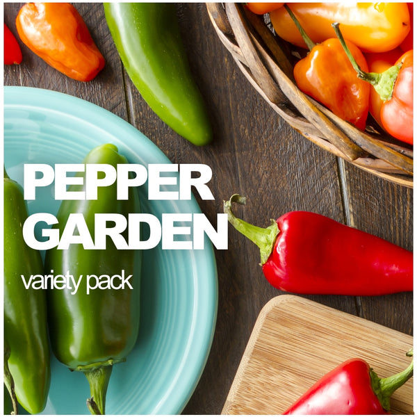 Where to Buy All-in-One Salsa Garden Variety Pack seeds 