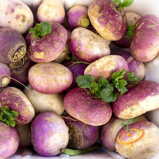 Potato, Purple Majesty