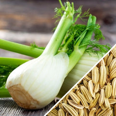 Fennel