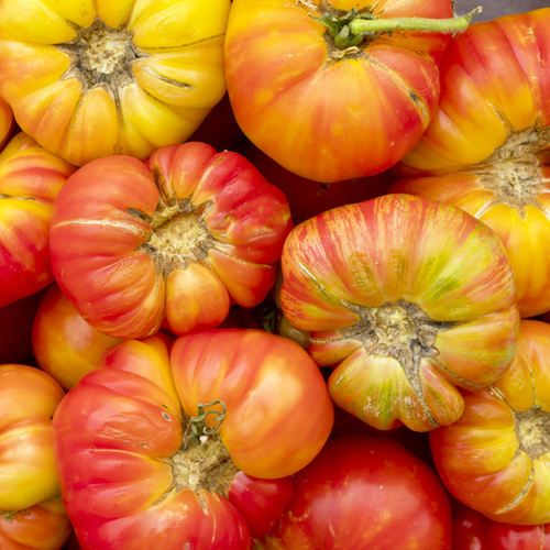 Where to Buy Tomato - Beefsteak, Pink (Indeterminate) seeds