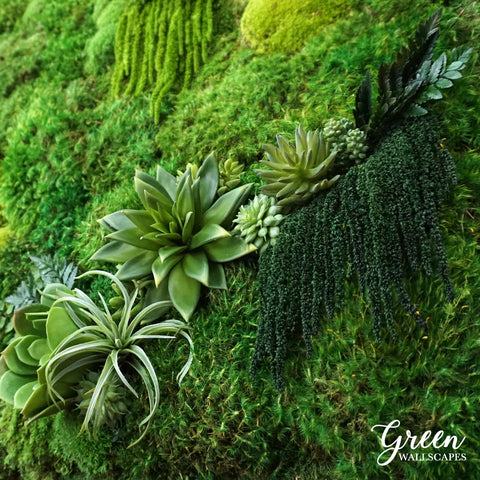 Decorating with Moss and Succulents – Green Wallscapes