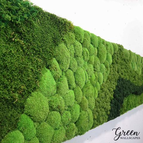 Three Types of Preserved Moss to Decorate With – Green Wallscapes