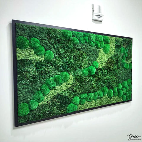 Moss Wall Art | Green Wall | Framed Green Wall | Framed Plant Wall 