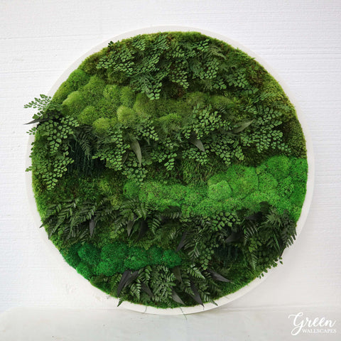 Circle Moss Art and Logos – Green Wallscapes