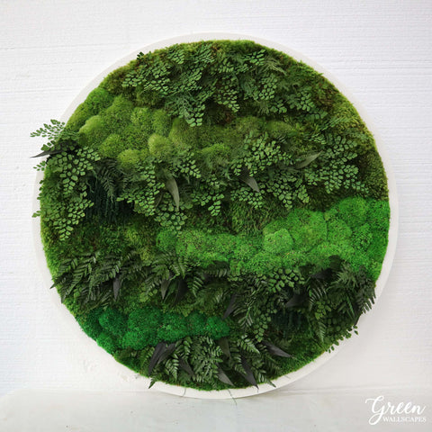 Moss and Fern Circle Art