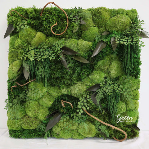 Preserved Moss Art with Ferns and Mosses in a square shape