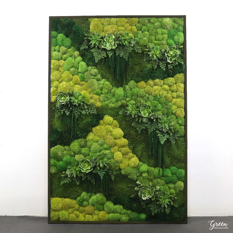 Green Wallscapes, moss wall, green wall, living wall, succulent wall, succulent art, moss and succulent wall, ombre moss, ombre moss wall, ombre design, moss for walls