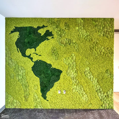 Two Toned Moss Globe - Yellow and Dark Green 