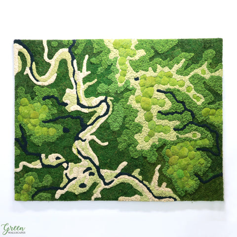 Moss Topographical Map - Austin, TX