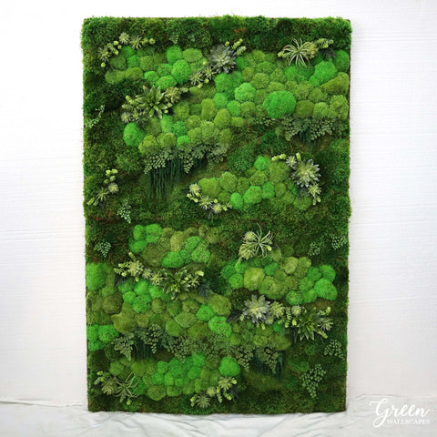 Moss and Succulent Green Wall 