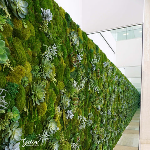 Preserved Moss Wall vs. Living Wall – Green Wallscapes